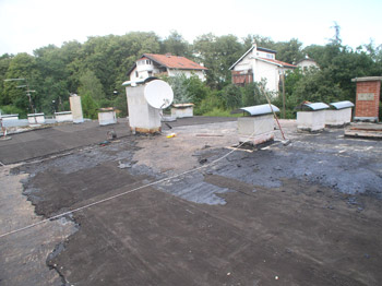 Slideshow Image 1
